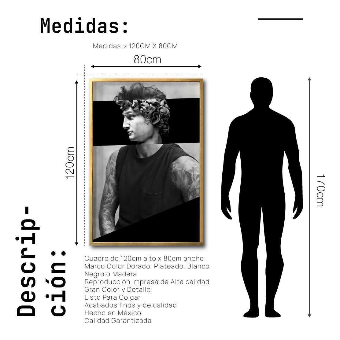 Cuadro Decorativo Rostros 010 David Beckham - El David