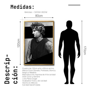 Cuadro Decorativo Rostros 010 David Beckham - El David