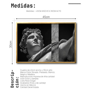 Cuadro Decorativo Esculturas 011 Apolo de Belvedere para Recámara