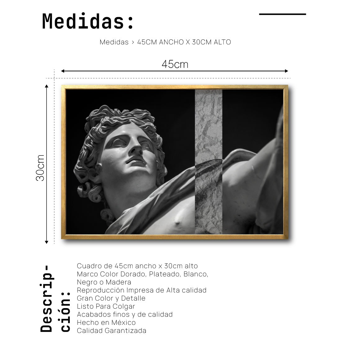 Cuadro Decorativo Esculturas 011 Apolo de Belvedere