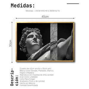 Cuadro Decorativo Esculturas 011 Apolo de Belvedere