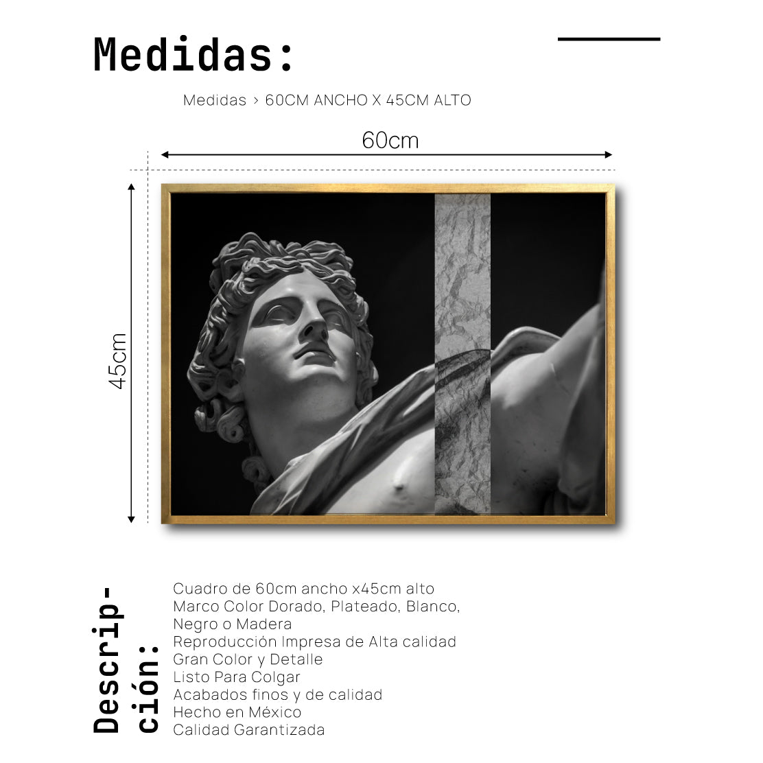 Cuadro Decorativo Esculturas 011 Apolo de Belvedere