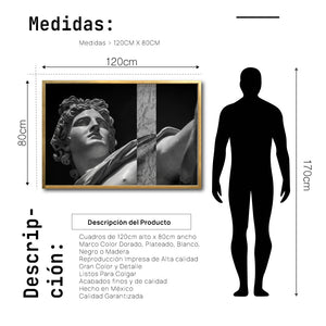 Cuadro Decorativo Esculturas 011 Apolo de Belvedere para Recámara