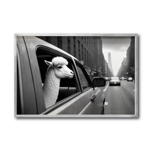 Cuadro Decorativo Animals Car Window 011