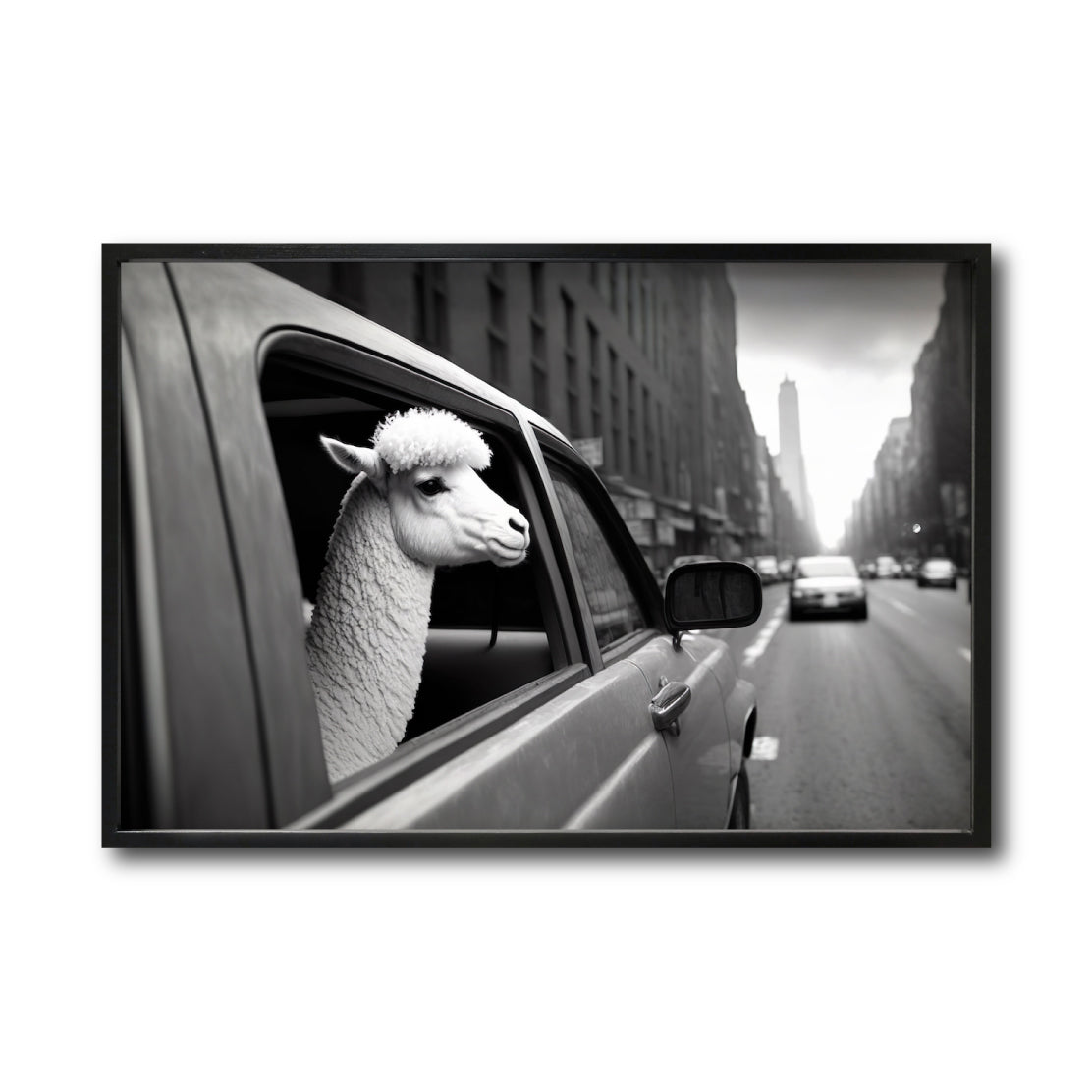 Cuadro Decorativo Animals Car Window 011