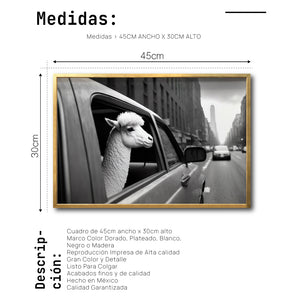 Cuadro Decorativo Animals Car Window 011