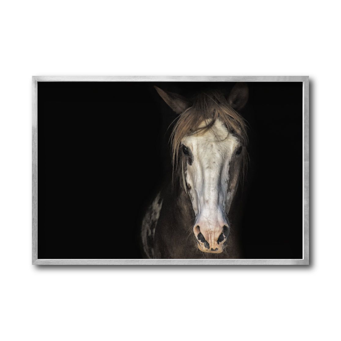 Cuadro Decorativo Caballos 011