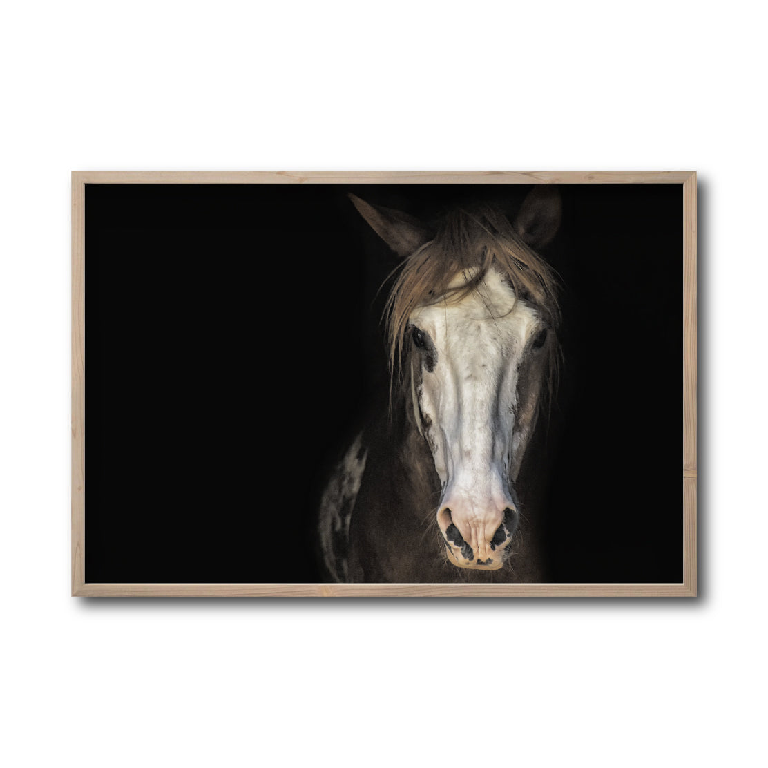 Cuadro Decorativo Caballos 011