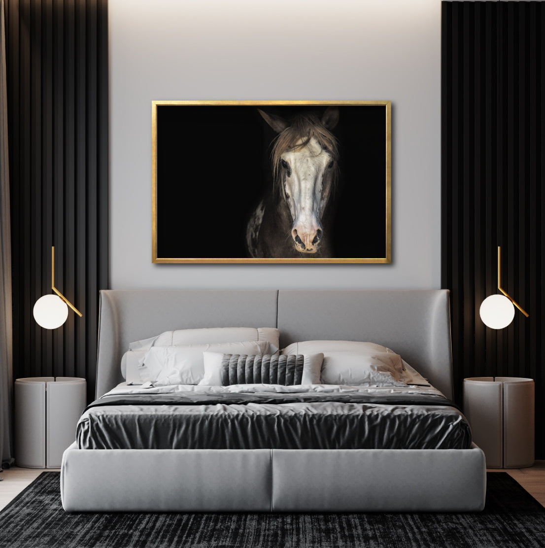 Cuadro Decorativo Caballos 011