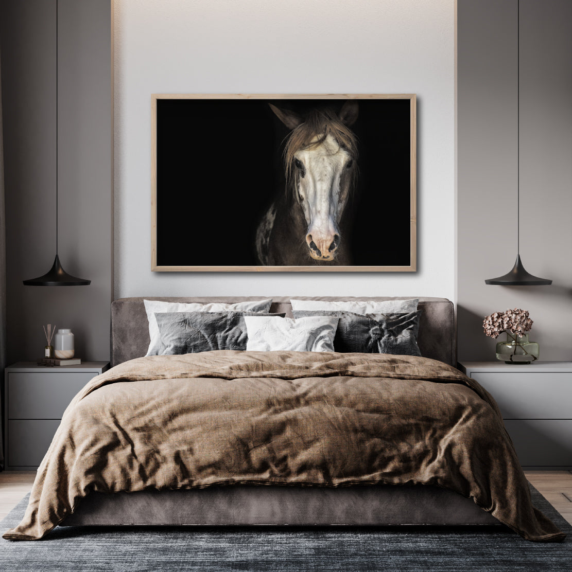 Cuadro Decorativo Caballos 011