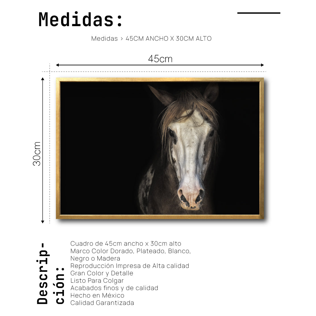 Cuadro Decorativo Caballos 011