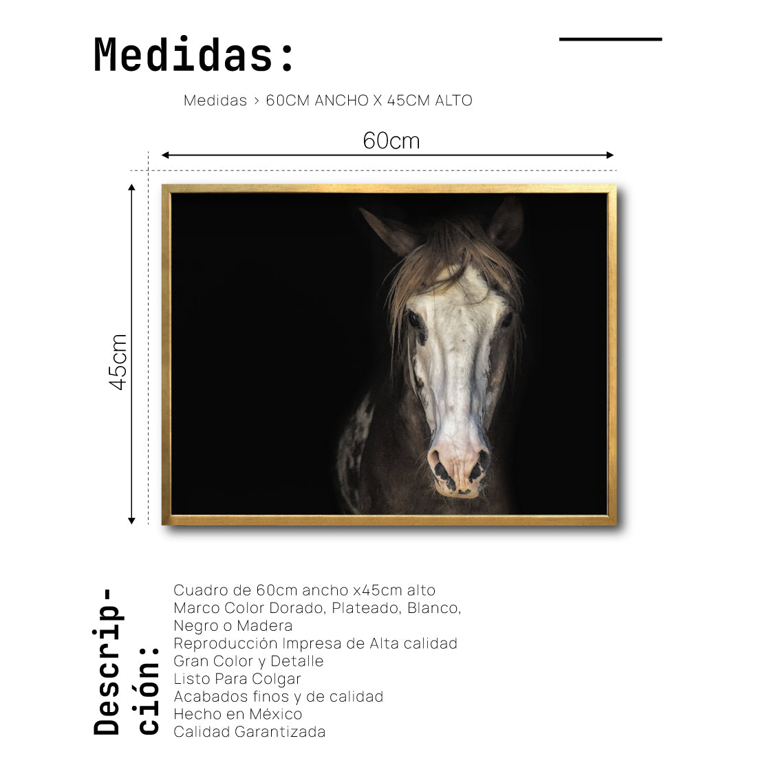 Cuadro Decorativo Caballos 011