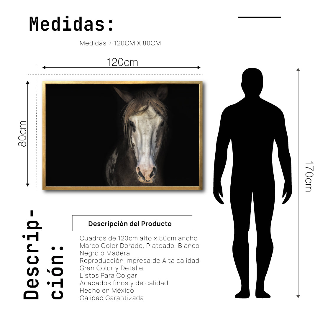 Cuadro Decorativo Caballos 011