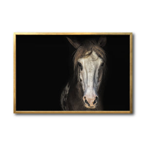 Cuadro Decorativo Caballos 011