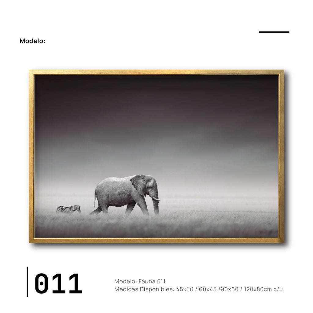 Cuadro Canvas Modernista Fauna Elefante y Cebra para sala en México Elegante.Decoración de interiores. Interiorismo. .Galería314.011