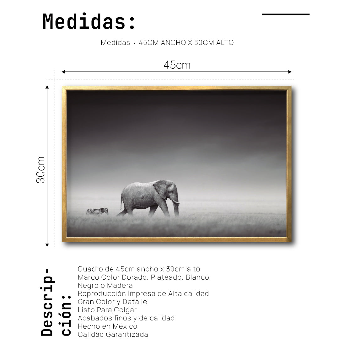 Cuadro Decorativo Fauna 011 - Elefante y Cebra Blanco y Negro