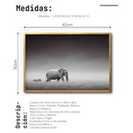 Cargar imagen en el visor de la galería, Cuadro Decorativo Fauna 011 - Elefante y Cebra Blanco y Negro
