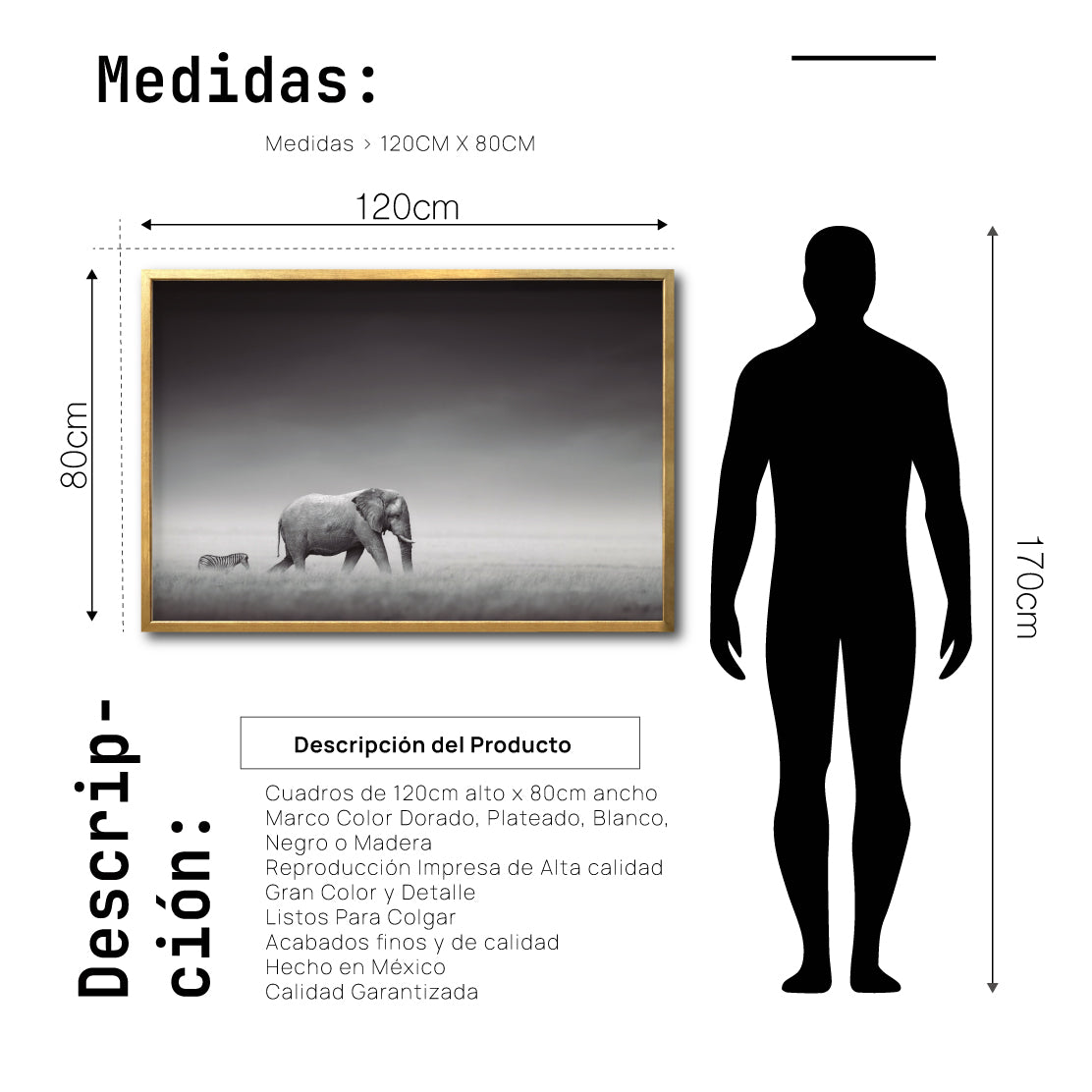 Cuadro Decorativo Fauna 011 - Elefante y Cebra Blanco y Negro