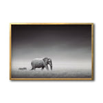 Cargar imagen en el visor de la galería, Cuadro Decorativo Fauna 011 - Elefante y Cebra Blanco y Negro
