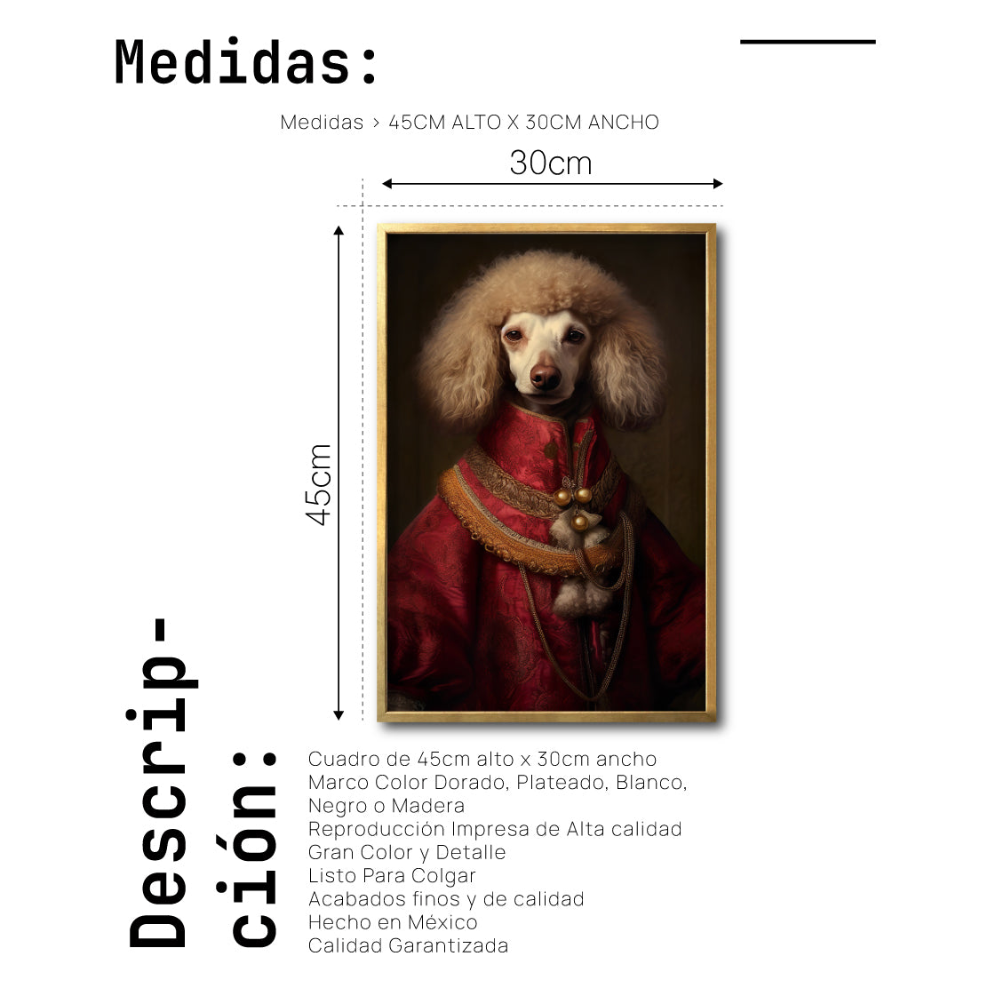 Cuadro Decorativo Perros Epoca 011 - Poodle Aristócrata