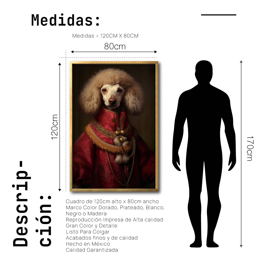 Cuadro Decorativo Perros Epoca 011 - Poodle Aristócrata