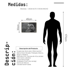 Cuadro Decorativo - Zen 011 - Buda en Meditación