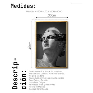 Cuadro Decorativo Esculturas 012 - Para Credenza