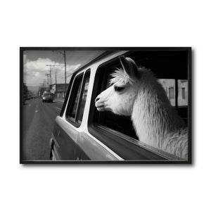 Cuadro Decorativo Animals Car Window 012