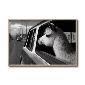 Cuadro Decorativo Animals Car Window 012