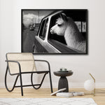 Cargar imagen en el visor de la galería, Compra cuadros decorativos Canvas de Animals Car window para sala. Animales Clásicos, moderno, Blanco y Negro. Llama
