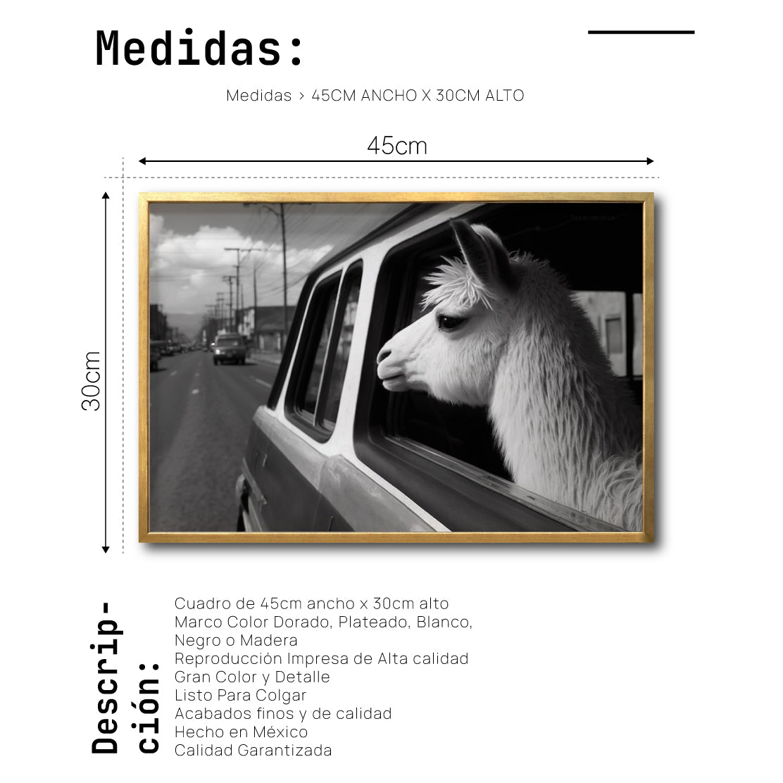 Cuadro Decorativo Animals Car Window 012