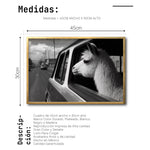 Cargar imagen en el visor de la galería, Cuadro Decorativo Animals Car Window 012
