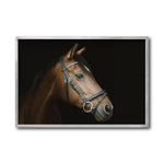Cargar imagen en el visor de la galería, Cuadro Decorativo Caballos 012
