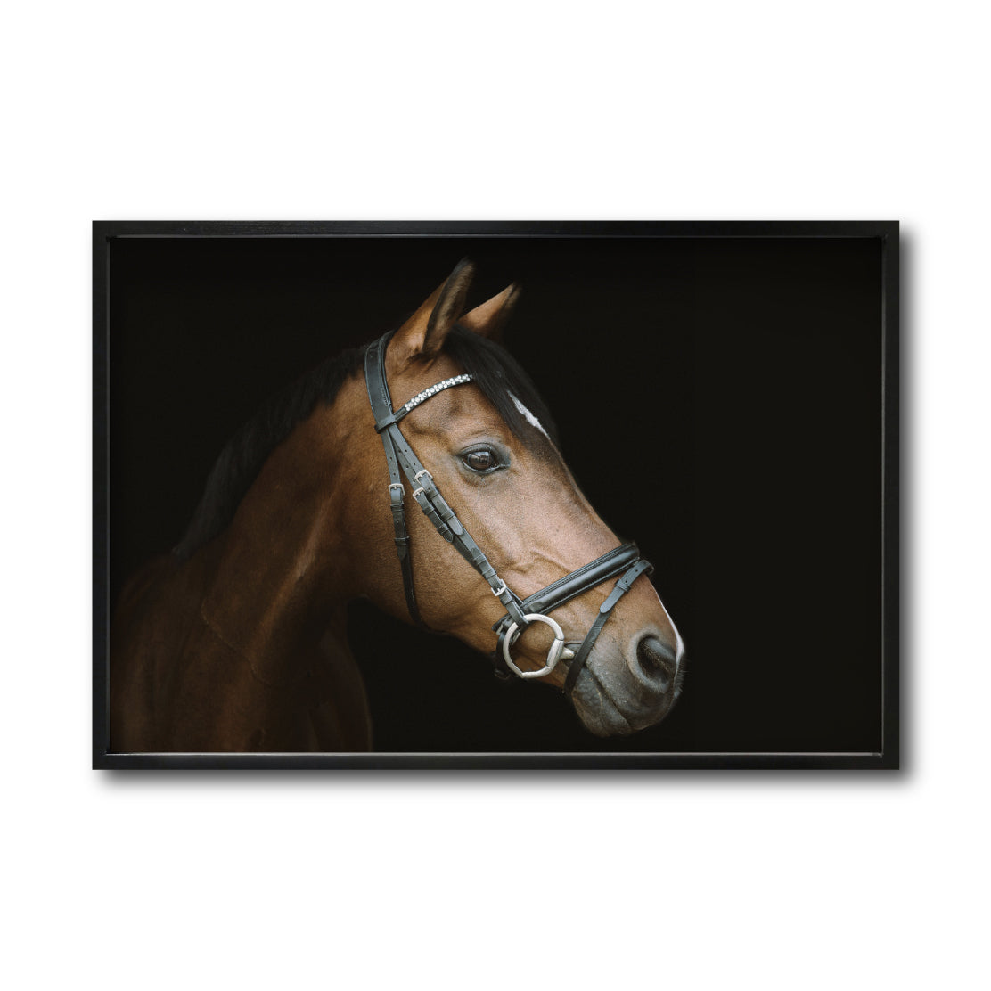 Cuadro Decorativo Caballos 012