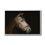 Cargar imagen en el visor de la galería, Cuadro Decorativo Caballos 012
