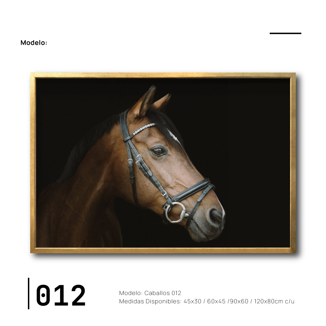 Cuadros baratos Arte de Caballos para tu recámara en CDMX. Galería 314.
