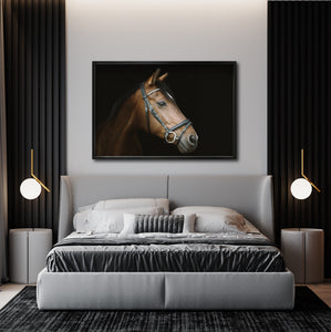 Cuadro Decorativo Caballos 012
