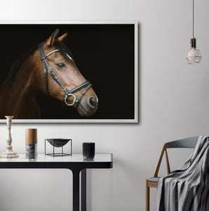 Cuadro Decorativo Caballos 012