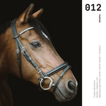 Cargar imagen en el visor de la galería, Cuadro Decorativo Caballos 012
