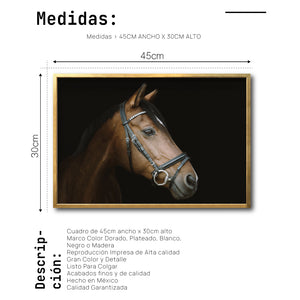 Cuadro Decorativo Caballos 012