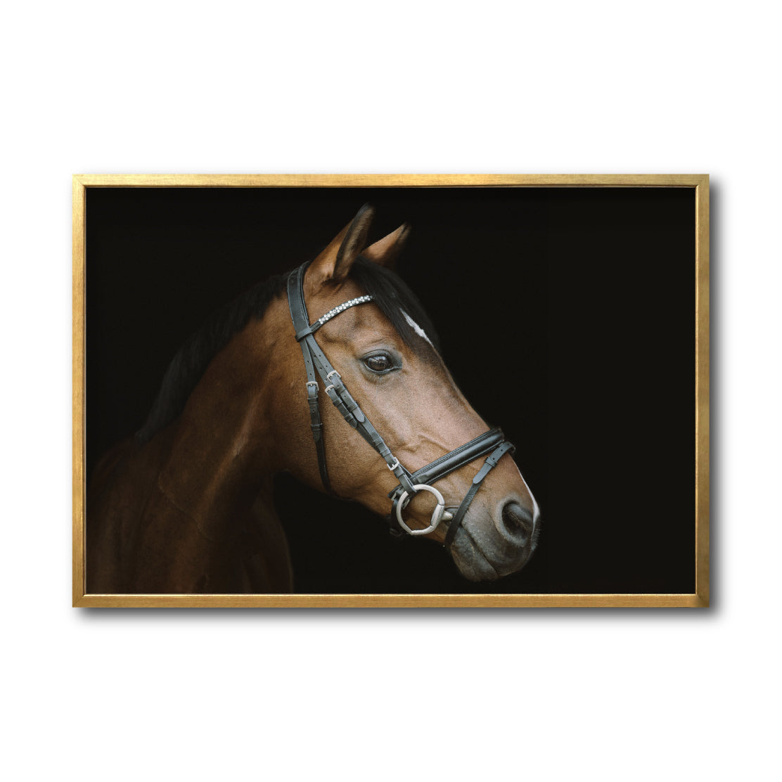 Cuadro Decorativo Caballos 012