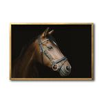 Cargar imagen en el visor de la galería, Cuadro Decorativo Caballos 012
