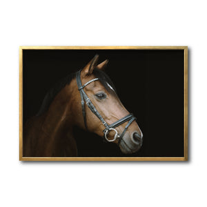 Cuadro Decorativo Caballos 012