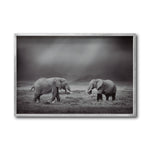 Cargar imagen en el visor de la galería, Cuadro Decorativo Fauna 012 - Pareja Elefantes Blanco y Negro
