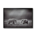 Cargar imagen en el visor de la galería, Cuadro Decorativo Fauna 012 - Pareja Elefantes Blanco y Negro
