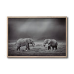 Cargar imagen en el visor de la galería, Cuadro Decorativo Fauna 012 - Pareja Elefantes Blanco y Negro
