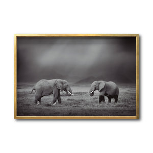 Cuadro Decorativo Fauna 012 - Pareja Elefantes Blanco y Negro