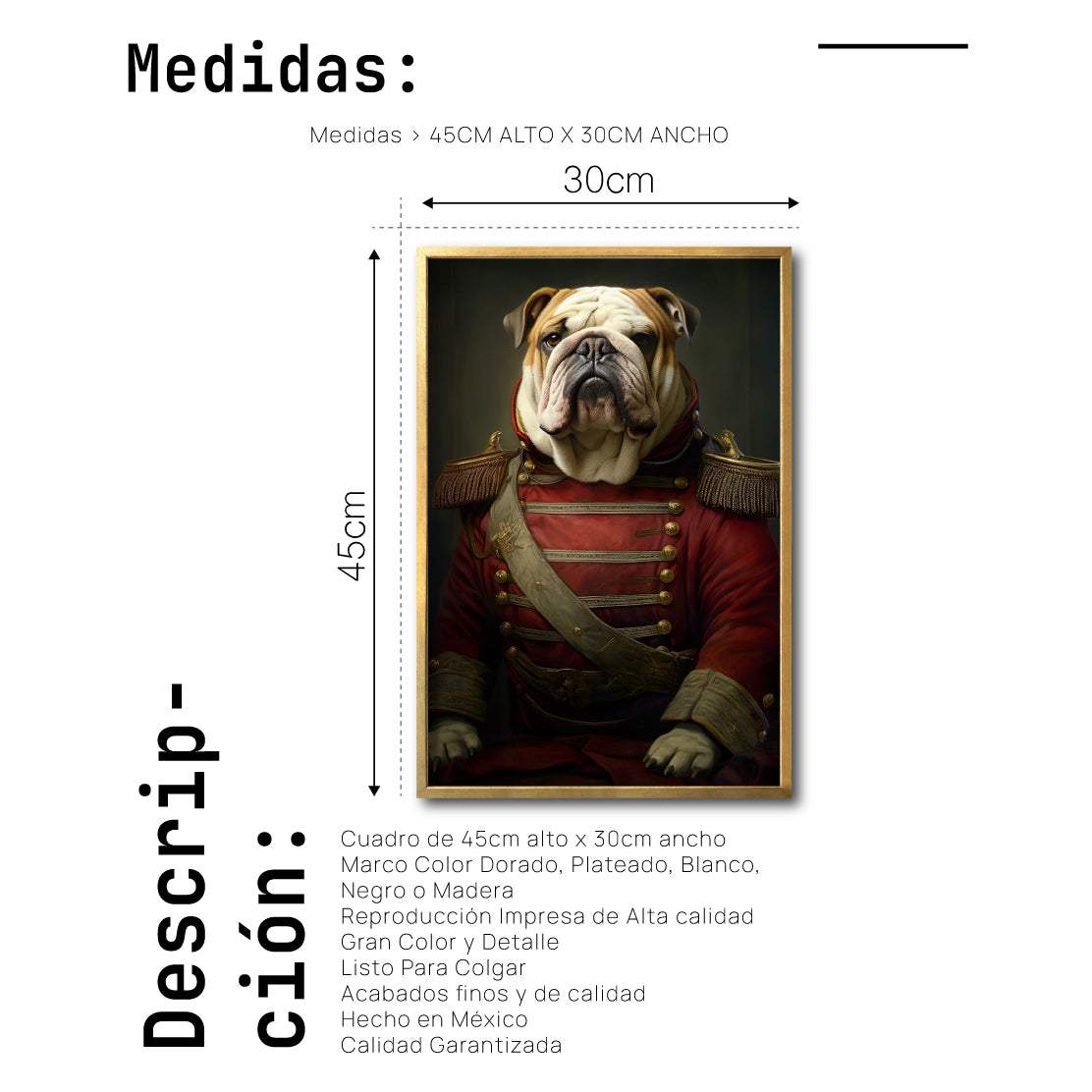 Cuadro Decorativo Perros Epoca 012 - Bulldog Aristócrata