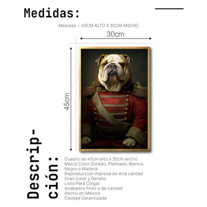 Cuadro Decorativo Perros Epoca 012 - Bulldog Aristócrata