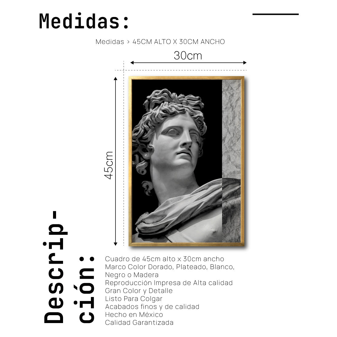 Cuadro Decorativo Esculturas 013 Apolo para Recámara